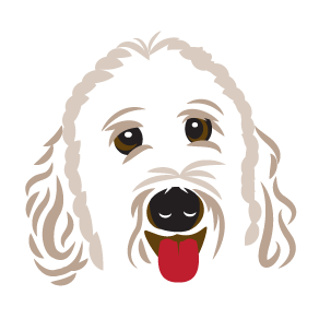 Golden doodle kisses